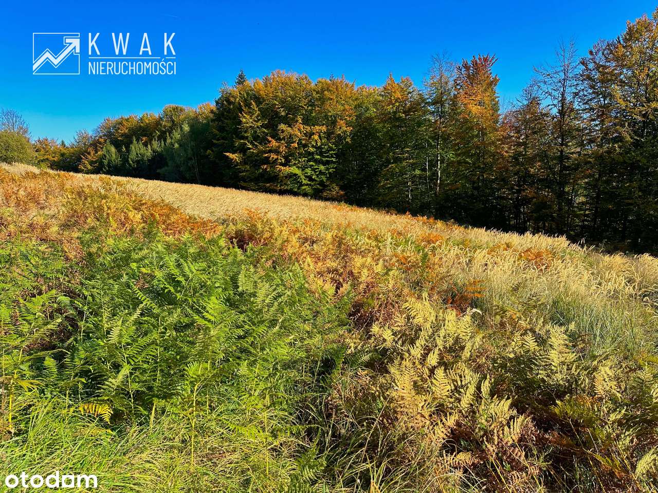 Działka pod Twój dom w górach Jeleśnia Janiki-12