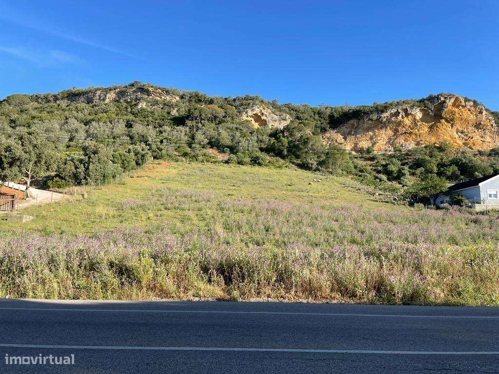 Terreno - Grande imagem: 3/12