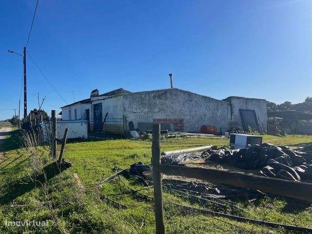 Quintinha, para venda, Viana do Alentejo - Viana do Alentejo-6