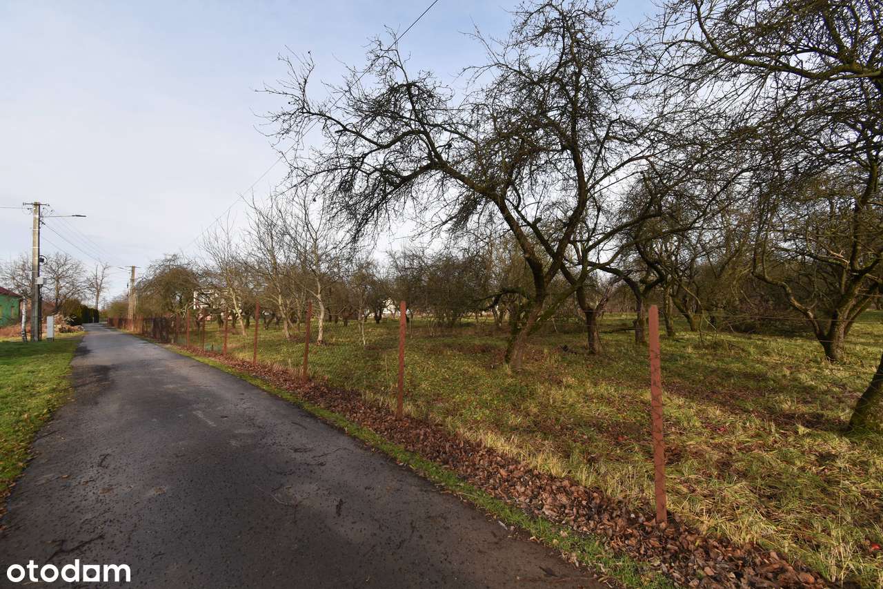 Działka z WZ tylko 4,3 km od centrum Łańcuta, przy drodze asfaltowej-10