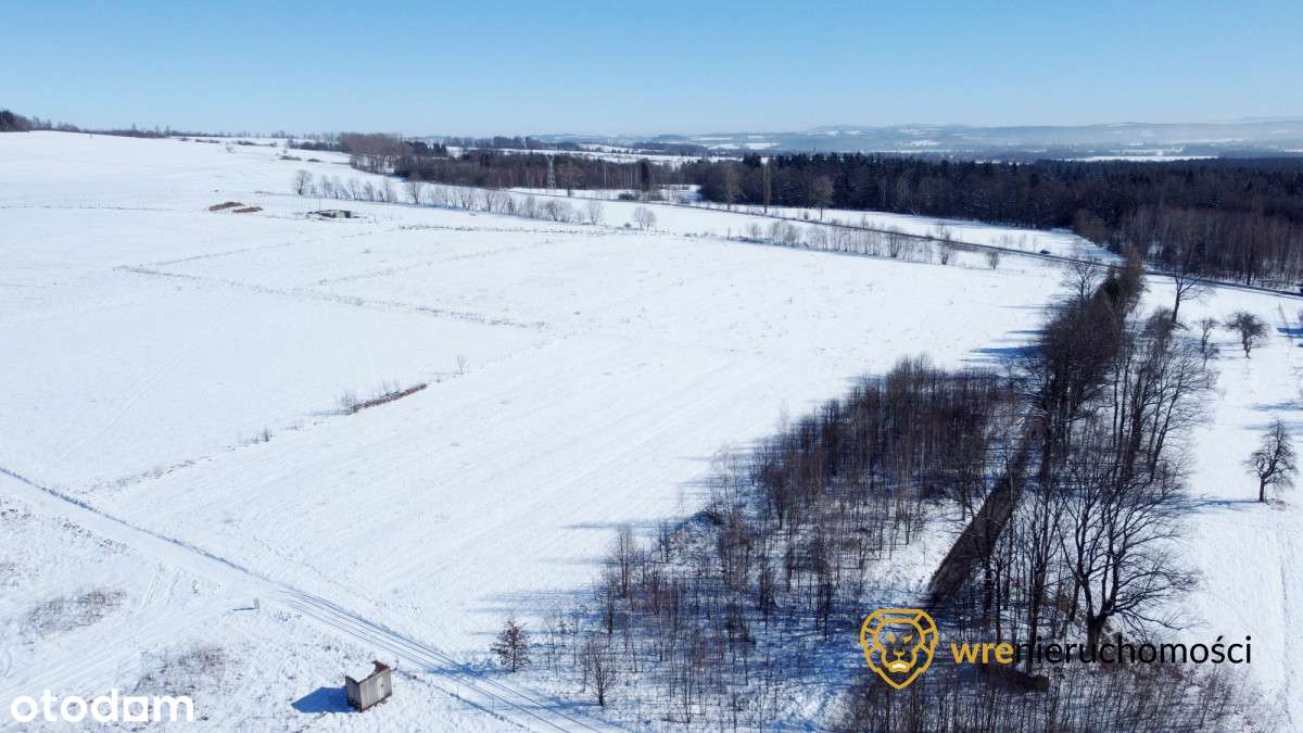 Klimatyczna działka budowlana+Usługi - Pełny obrazek: 5/12