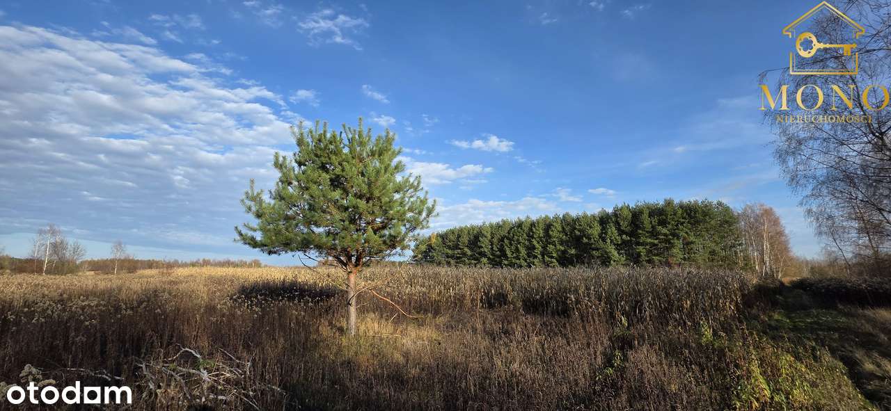 Działka 1,61 ha ok. 10 km od Buska-Zdrój-5