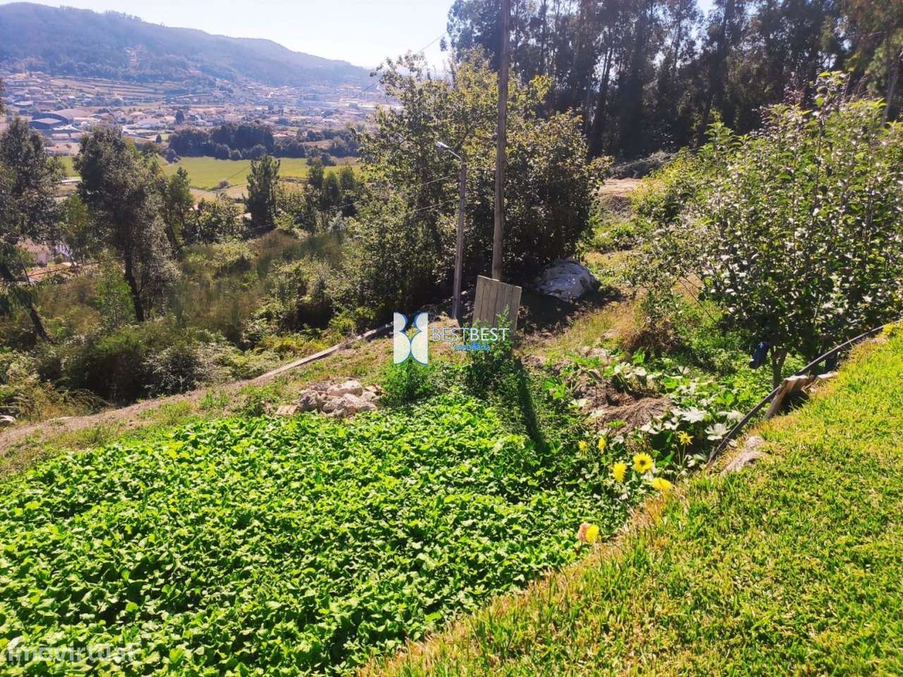 MORADIA INDEPENDENTE,REABILITAÇÃO, TERRENO 2.900M2, TELHADO,15MIN.FA-19