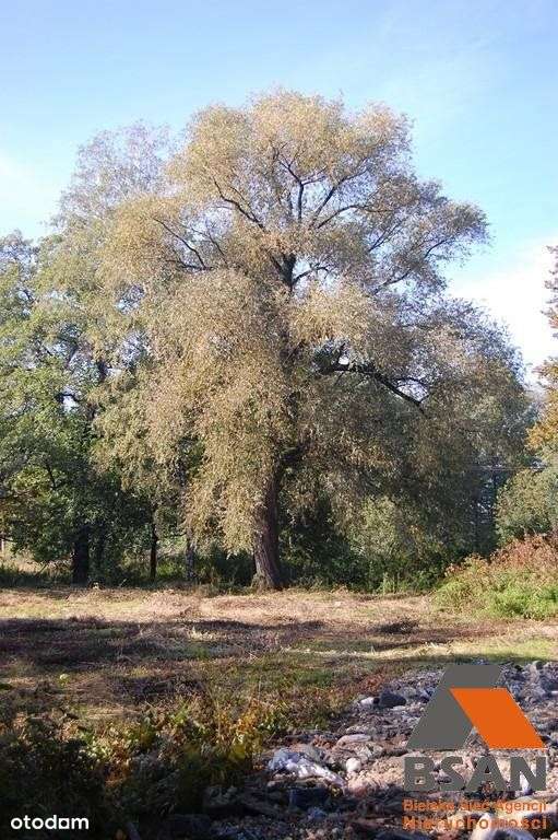 Działka, 5 200 m², Mazańcowice - Pełny obrazek: 5/20