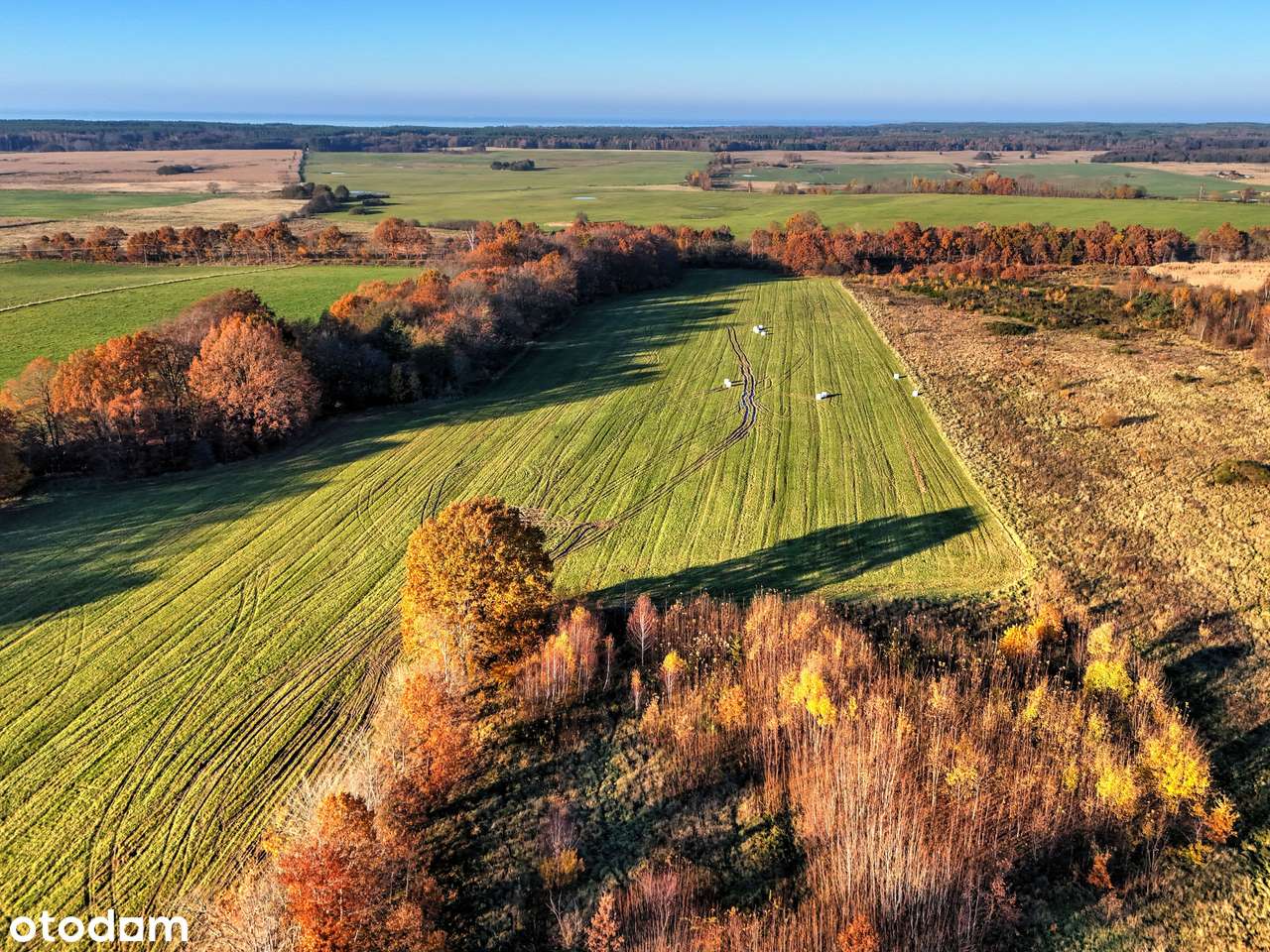 Na sprzedaż działka-6