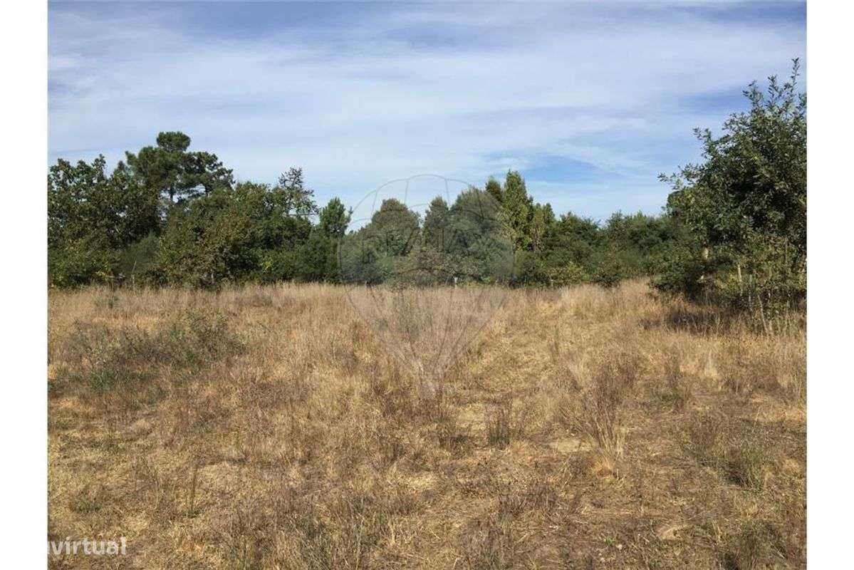 Terreno T0 para Venda - Grande imagem: 4/7