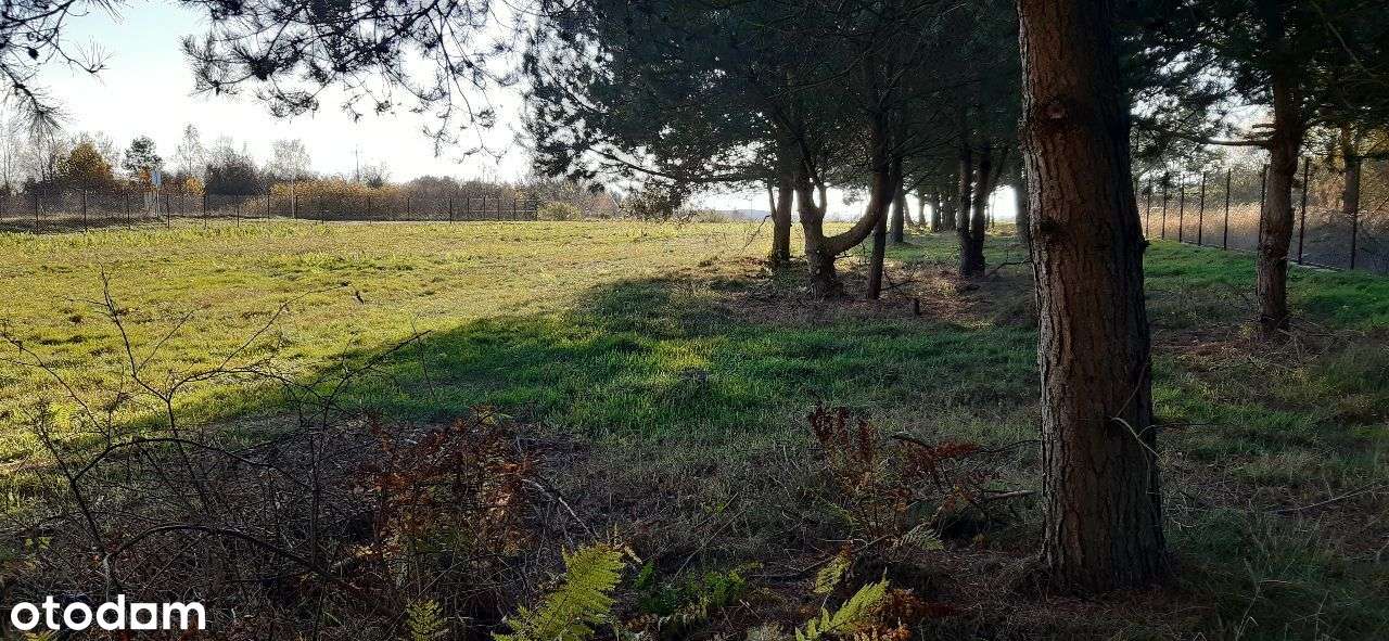 Działka Z POZWOLENIEM NA BUDOWE nad morzemChłapowo - Pełny obrazek: 5/16