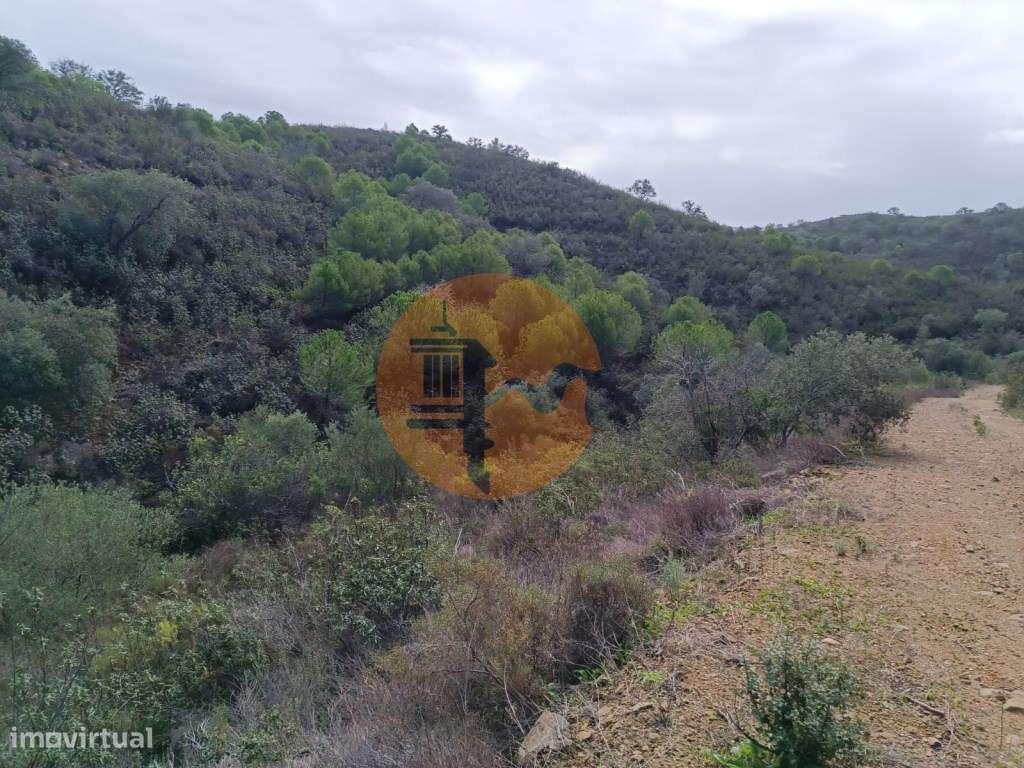 TERRENO COM 12.9 HECTARES - POSSIBILIDADE DE CONSTRUÇÃO - TURISMO -... - Grande imagem: 4/34