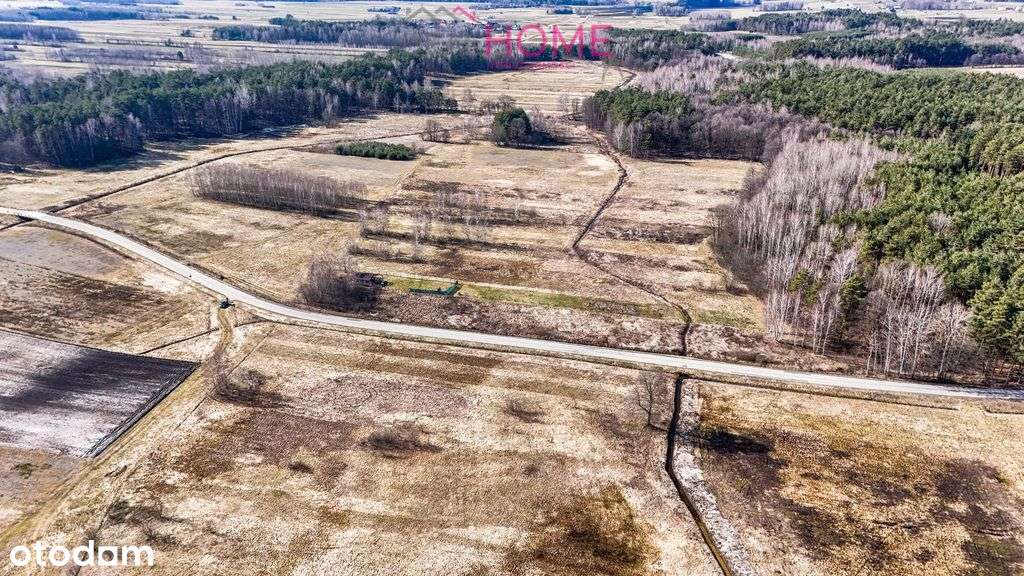 Działka wśród lasu- 8 arów-7