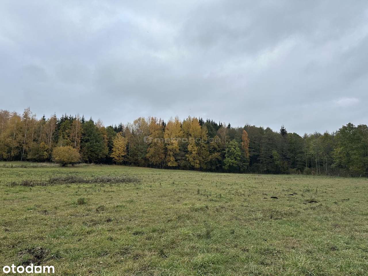 Działka rolna Róże - Mazury - 1,47 Ha - Pełny obrazek: 5/7