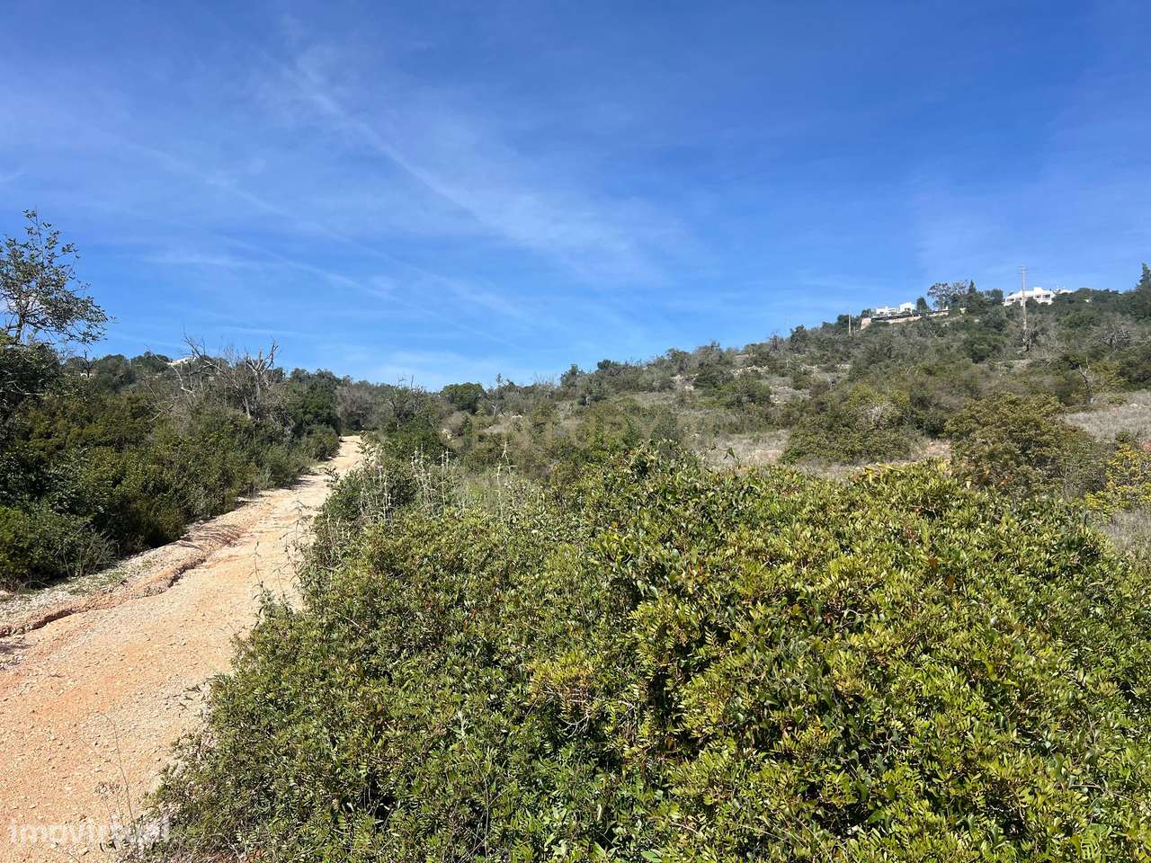 Terreno Rústico com 3.320m2 a 4 km de Paderne - Grande imagem: 2/6