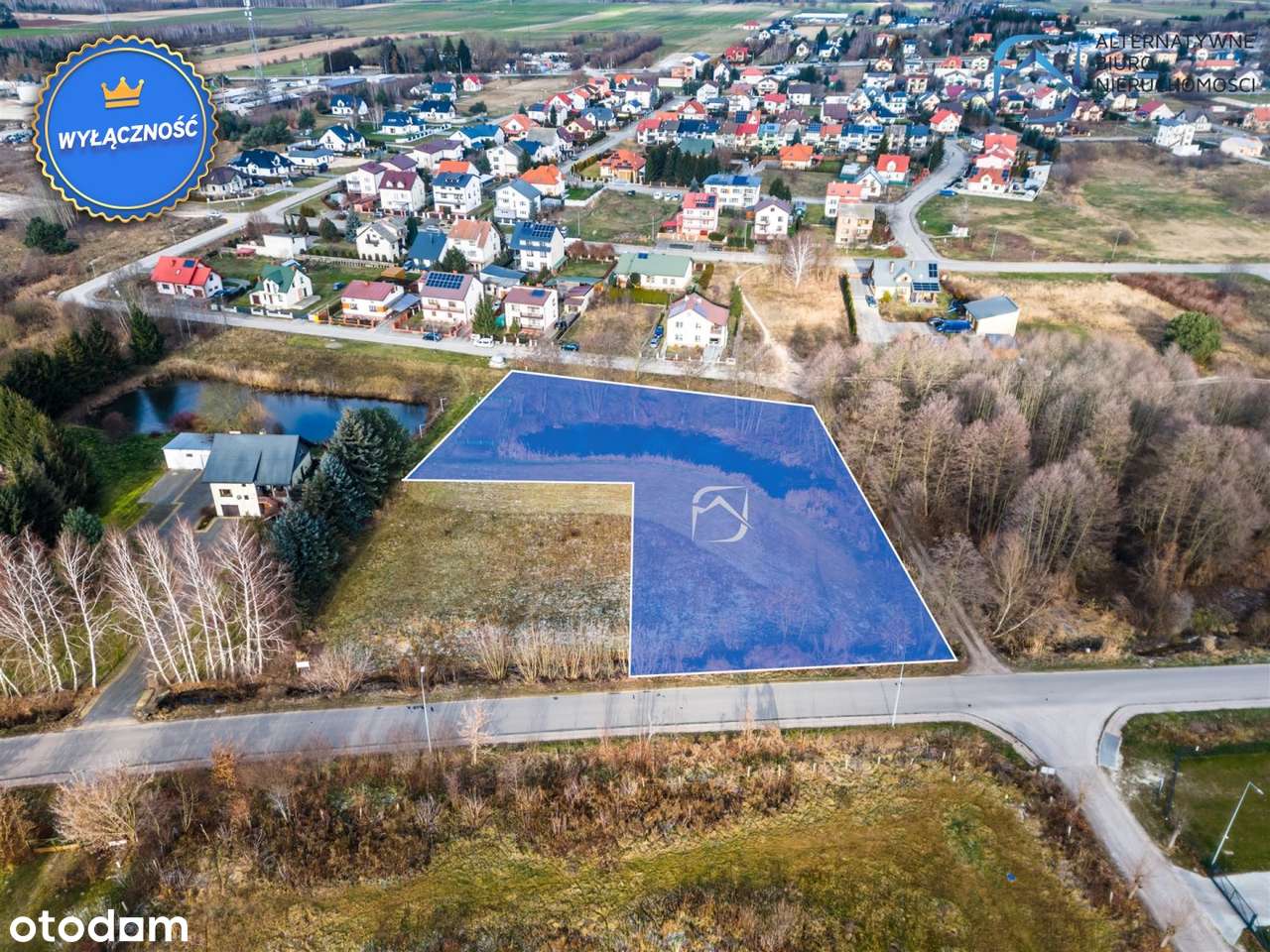 Działka budowlano-usługowa ze stawem - Kock-5
