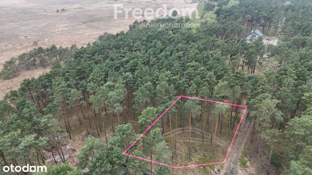 Na sprzedaż działka 1621 m² Dziwnów - Pełny obrazek: 4/20