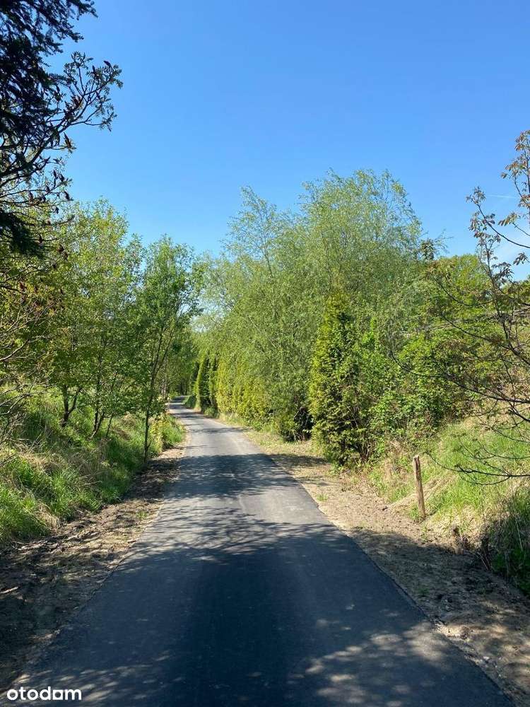 Dom jednorodzinny, Pszów, ul. Żużlowa * NOWA CENA*-10