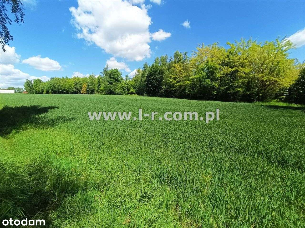 Działka Produkcyjno-Usługowa W Czyżowicach - Pełny obrazek: 4/17