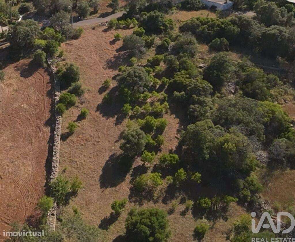 Terreno em Conceição e Estoi de 1840,00 m2 - Grande imagem: 5/6
