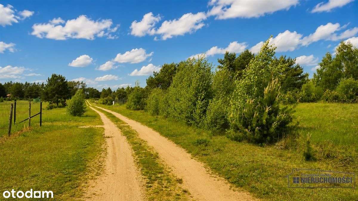 Działka budowlana nad pięknym jeziorem Dołgie.-15