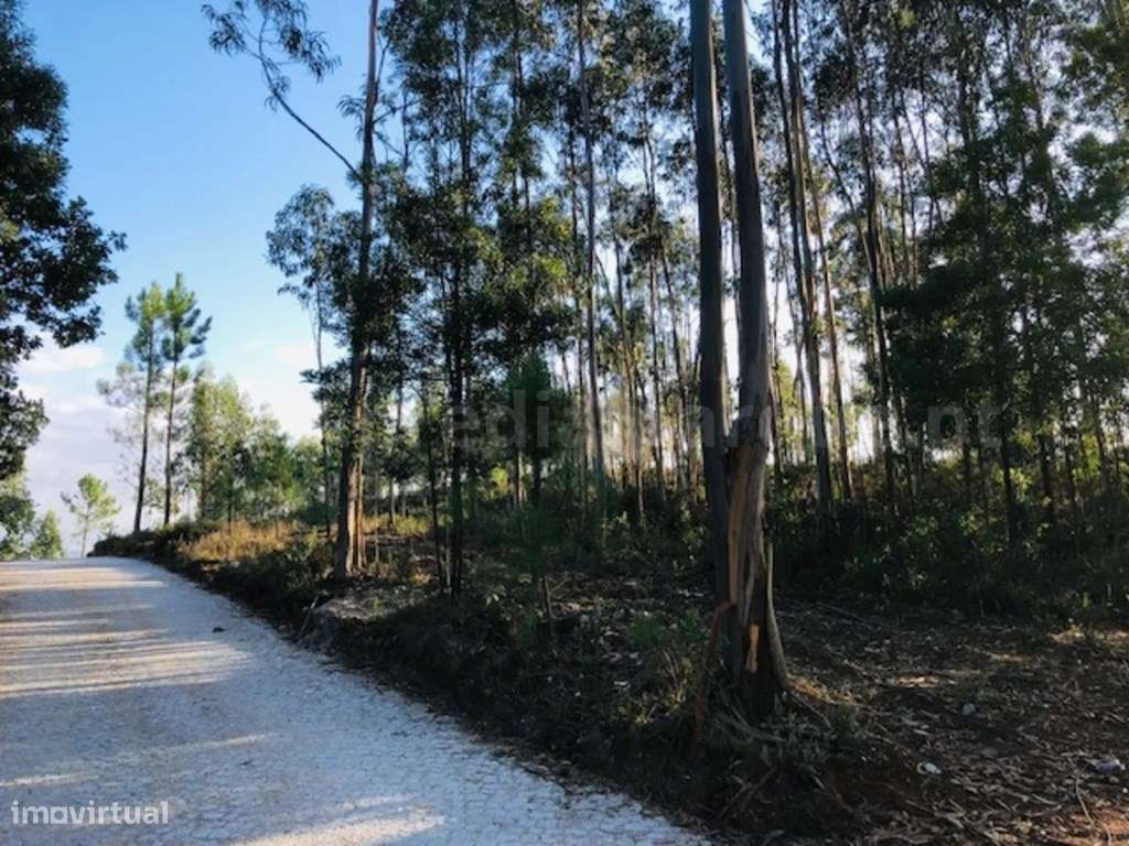 Terreno rústico para venda, Melres - Grande imagem: 4/18
