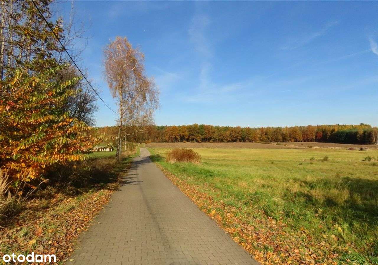 Działka, 1 206 m², Chełm Śląski - Pełny obrazek: 4/6