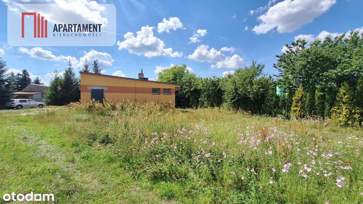 Atrakcyjna działka przy jeziorze - Pełny obrazek: 5/10