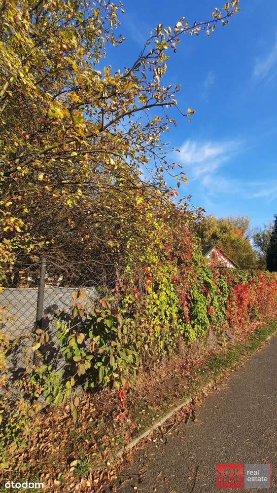 Mieszkanie 3-pokojowe przy parku Kępa Potocka-15