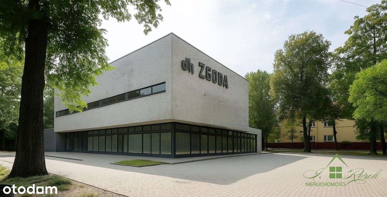 Lokal Do Wynajęcia-Idealne Miejsce Na Twój Biznes - Pełny obrazek: 3/10