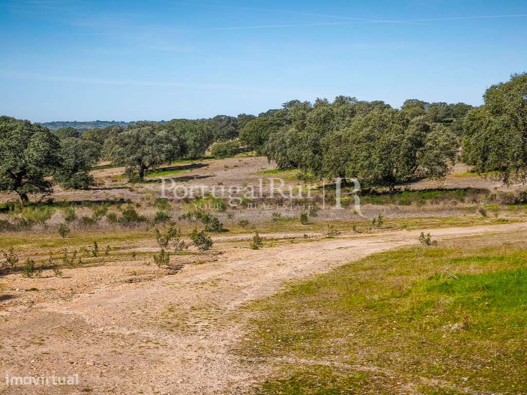 Propriedade Rústica com 132 ha em Rosmaninhal, Idanha-a-Nova-36