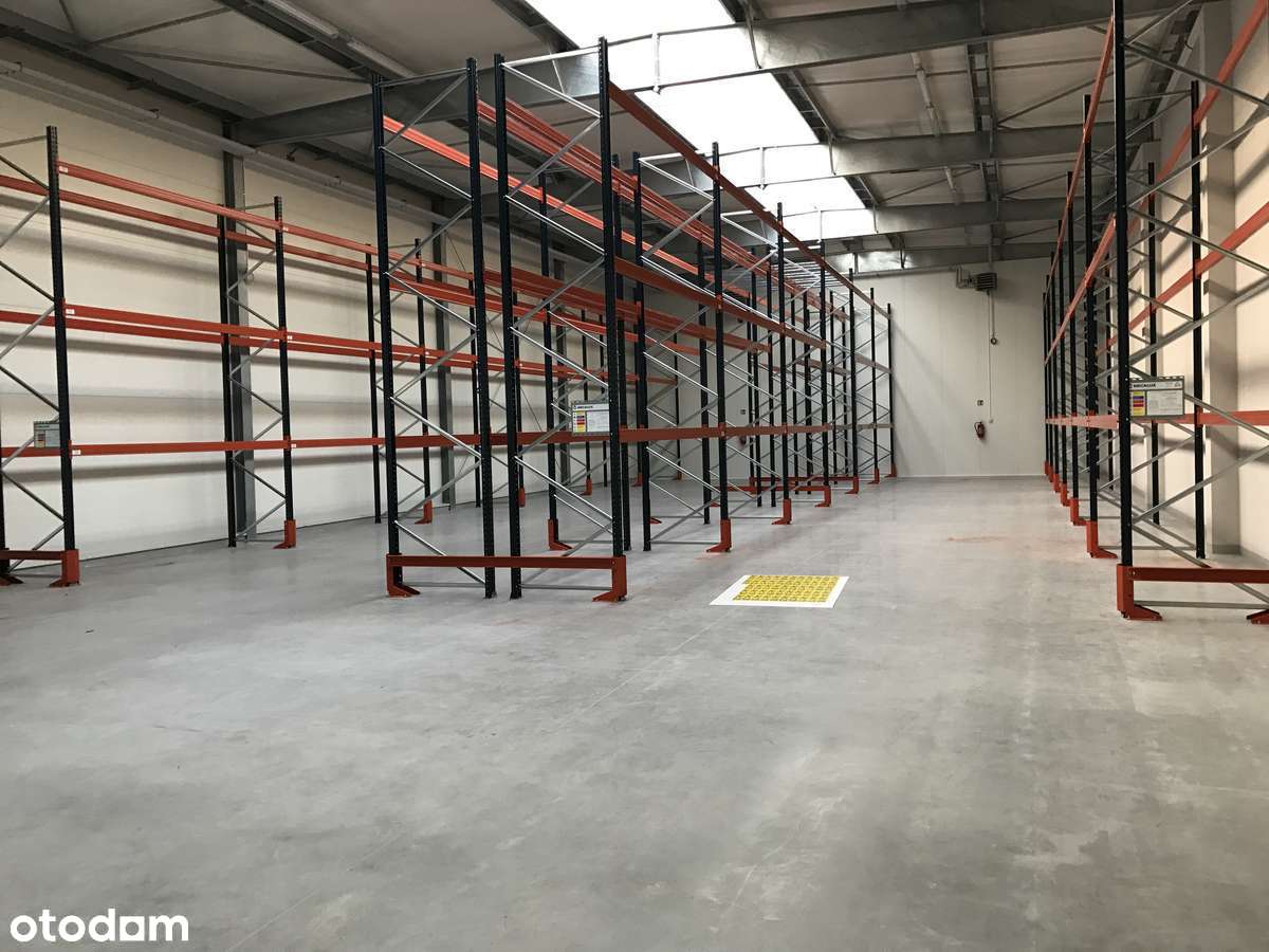 Hala magazynowa z biurem - Pełny obrazek: 1/13