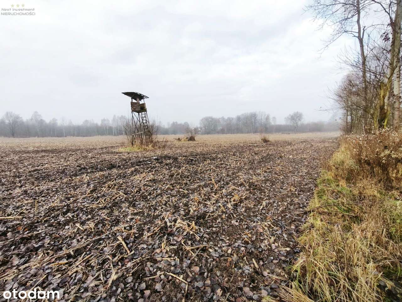 Dwie działki w kolejnej linii zabudowy Dzierżno-10