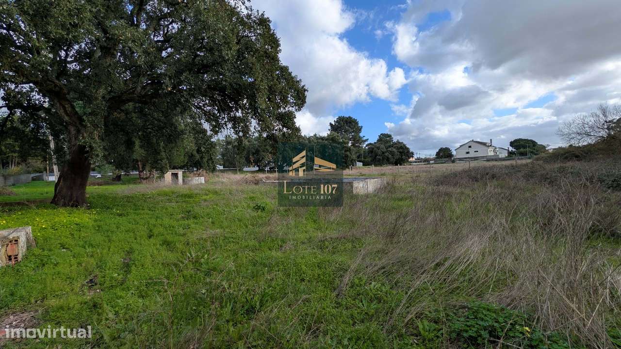 Terreno no Terrim C/5147M2 - Grande imagem: 5/19