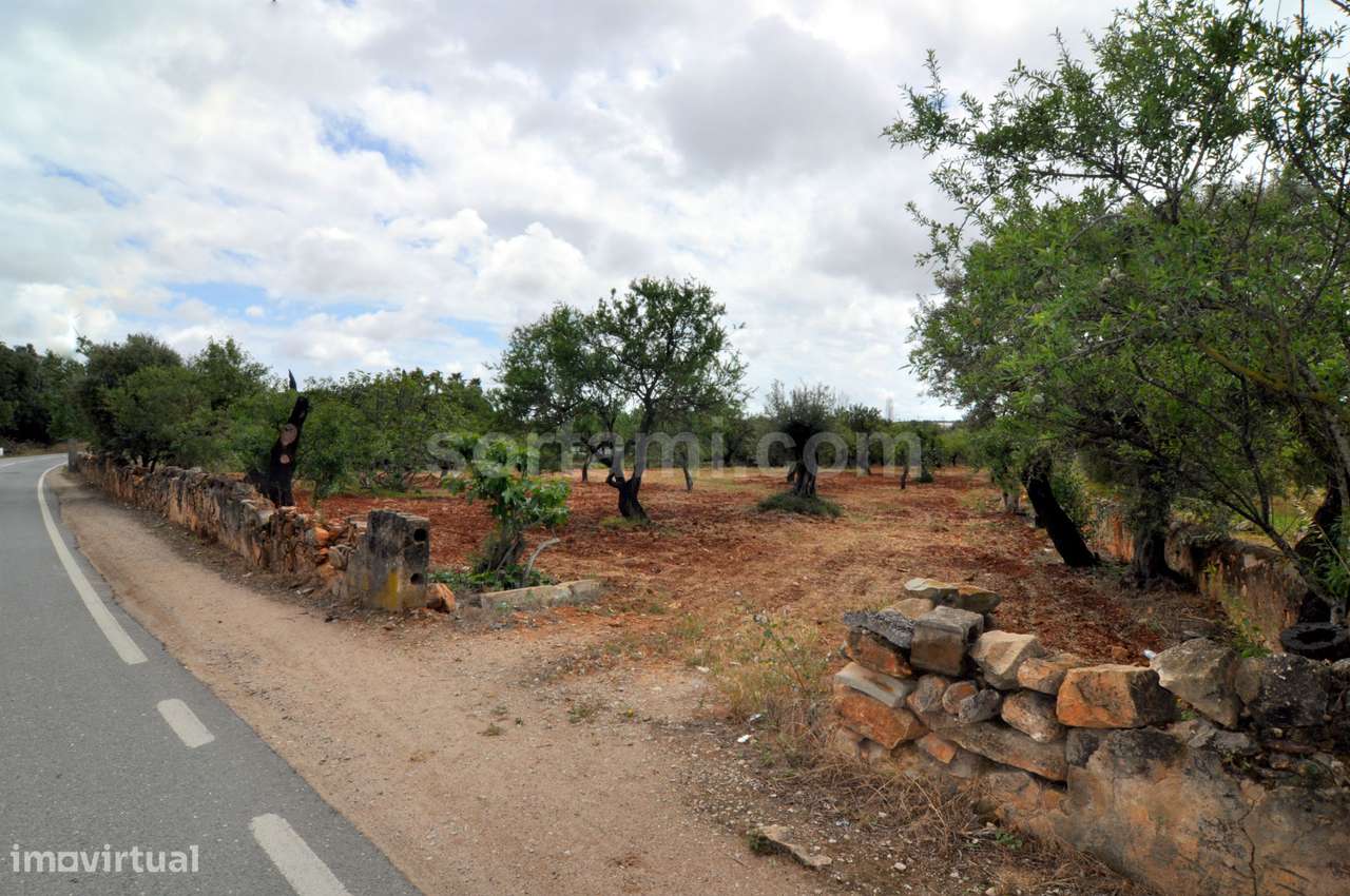 Terreno Para Construção  Venda em Conceição e Estoi,Faro - Grande imagem: 2/3