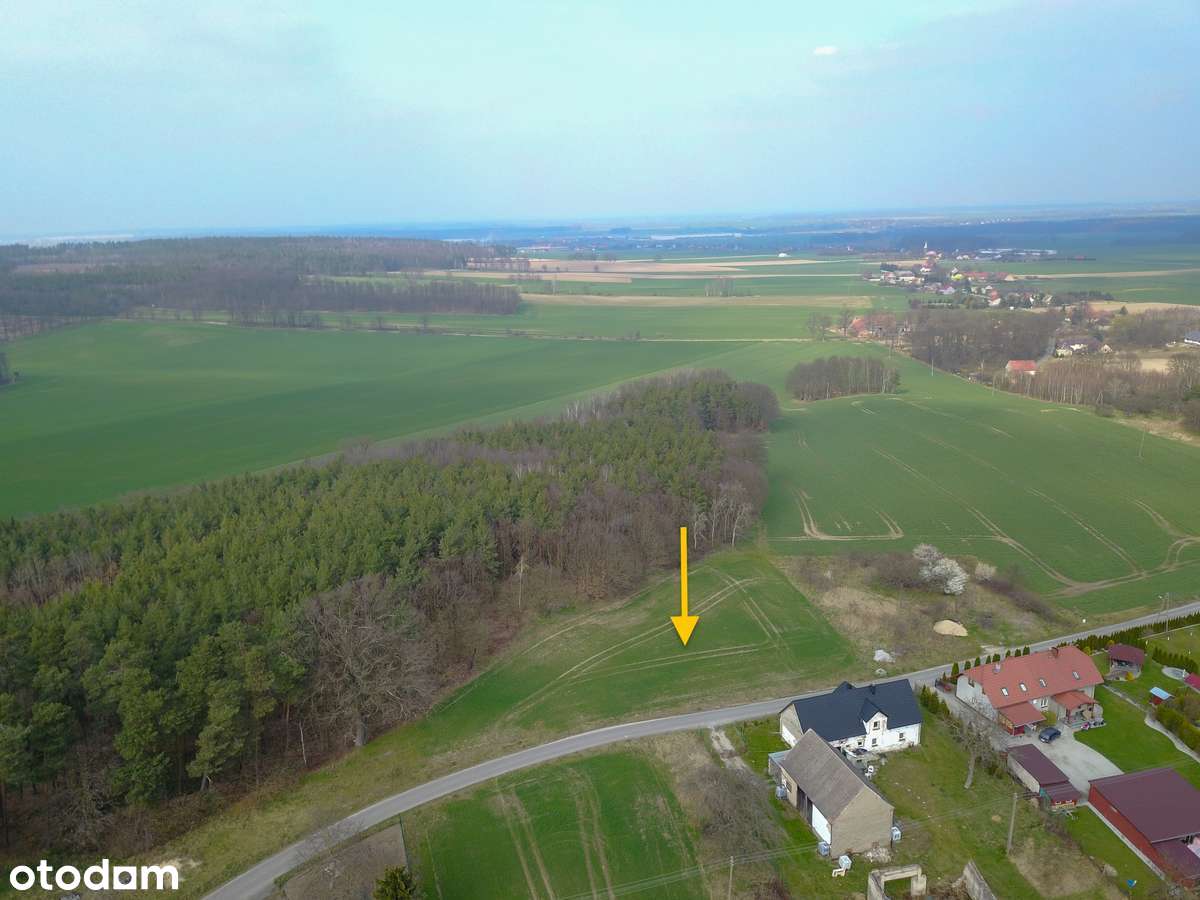 Chojnów, Okmiany, Okmiany - Pełny obrazek: 3/4