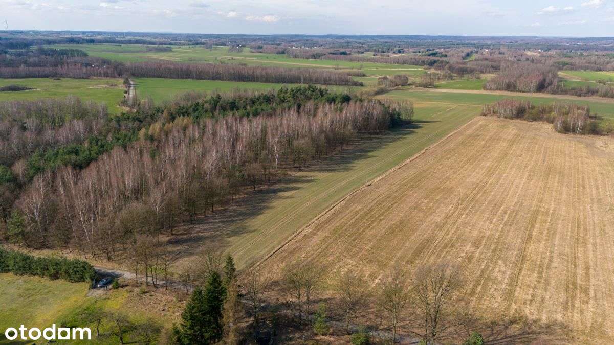 Działka rekreacyjno rolna Czarny Las 1,49ha - Pełny obrazek: 4/20