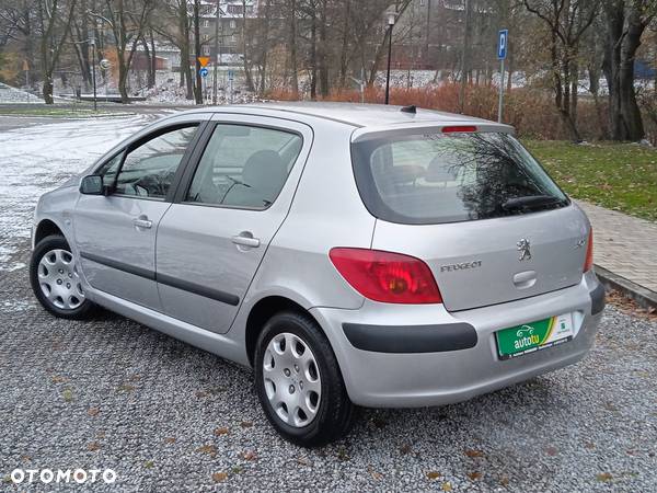 Peugeot 307 1.6 Premium - 27