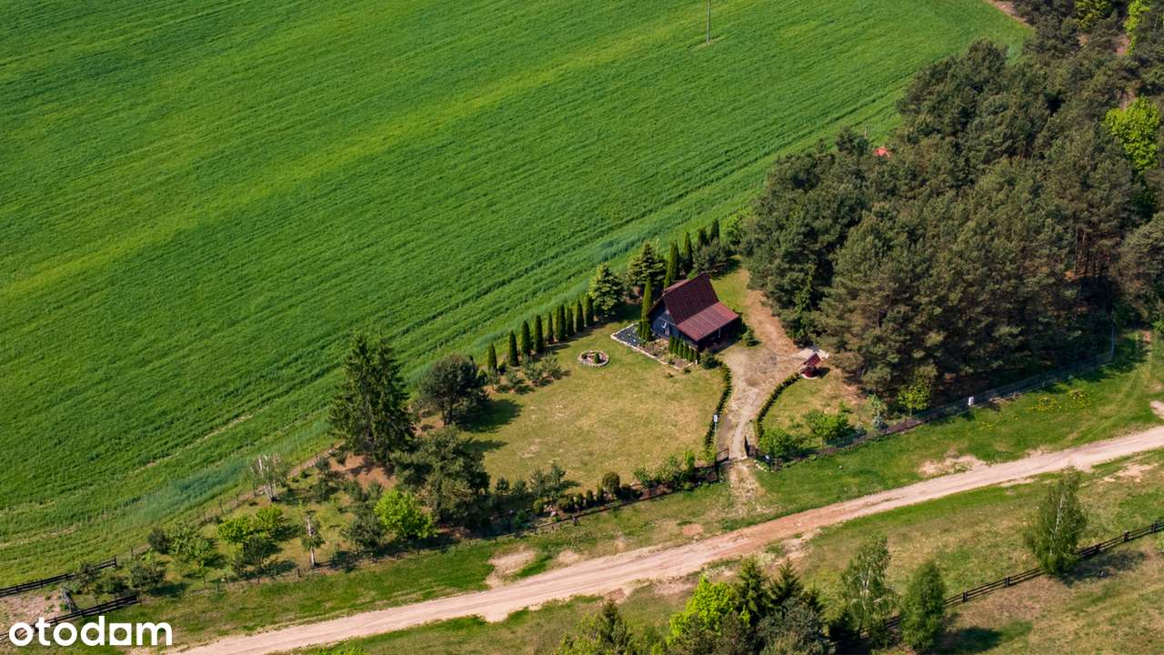 Duża działka z dwoma domkami i garażem - blisko rzeki Narew-6