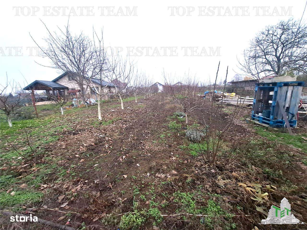 Teren Intravilan Moara Vlasiei 963 mp, Zona Superba,-2