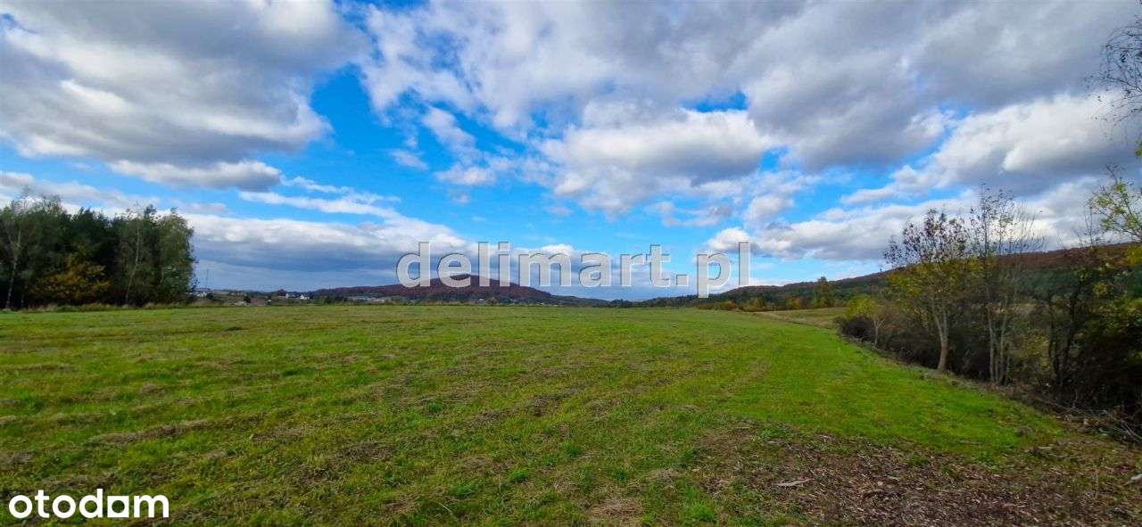 Widokowe działki z Wz Srogów Dolny - Pełny obrazek: 4/18