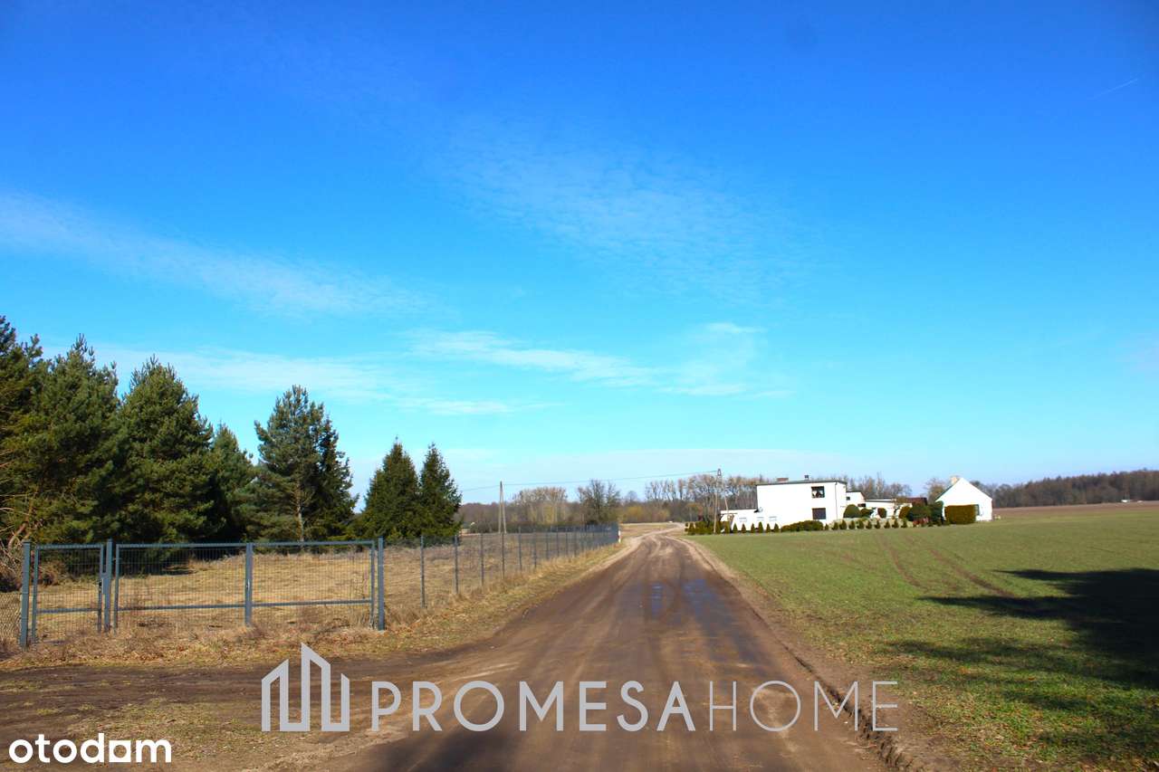Bednary pięknie położona działka 1226m2 25min od Poznania-0