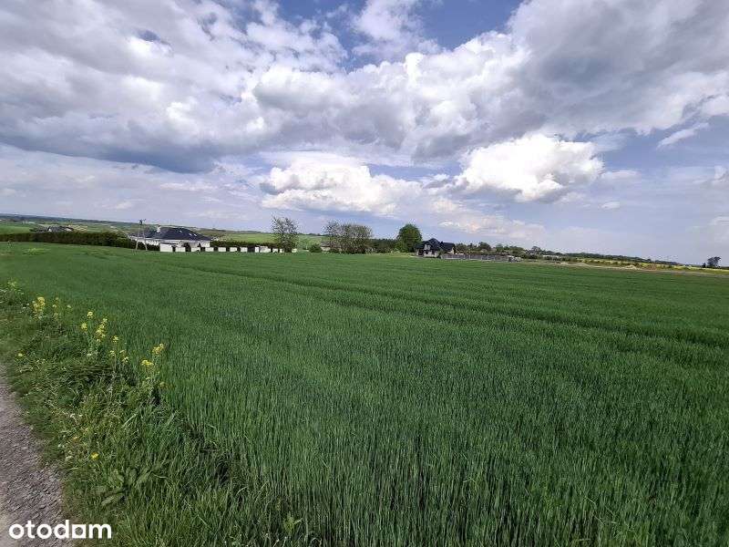 Działka 10 600 m2, Wawrzeńczyce - Pełny obrazek: 4/4