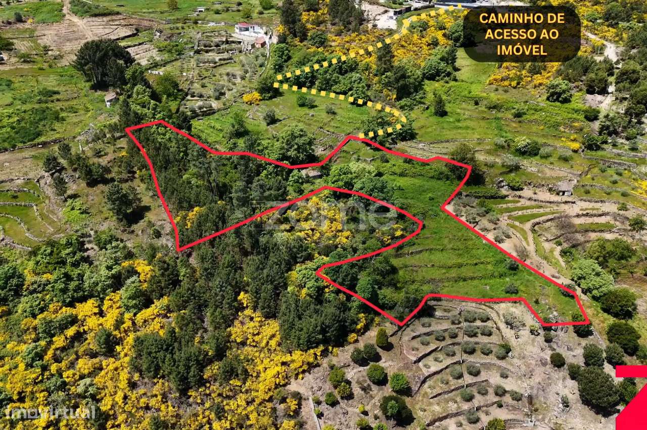 Terreno de 4437m2 com ruína, Santa Marta de Penaguião, Douro - Grande imagem: 5/35