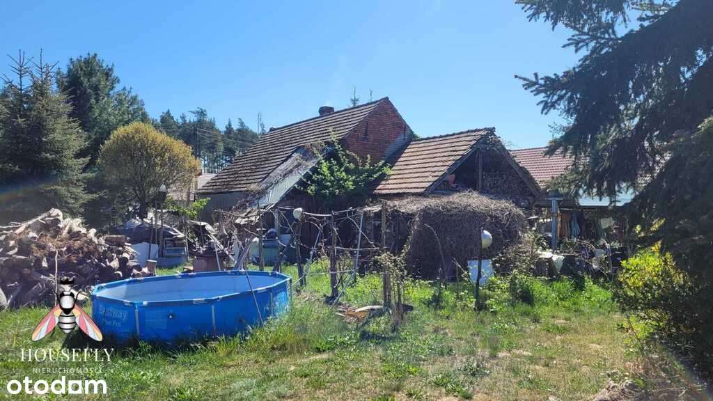 Dom z dużą  działką - Pełny obrazek: 4/8