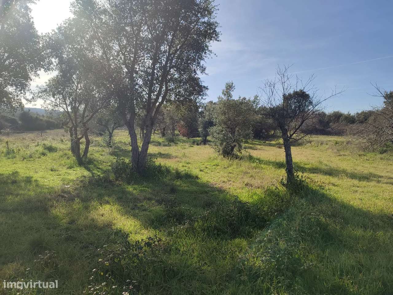 Fantástica Quintinha em Tinalhas, Castelo Branco - Grande imagem: 5/47