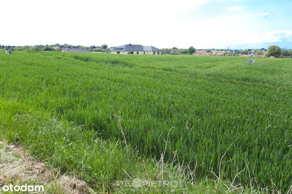 Działka budowlana 1850 m2 z dala od zgiełku miasta - Pełny obrazek: 4/6