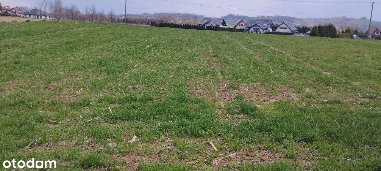 Działka budowlana i inwestycyjna koło Bochni - Pełny obrazek: 5/7