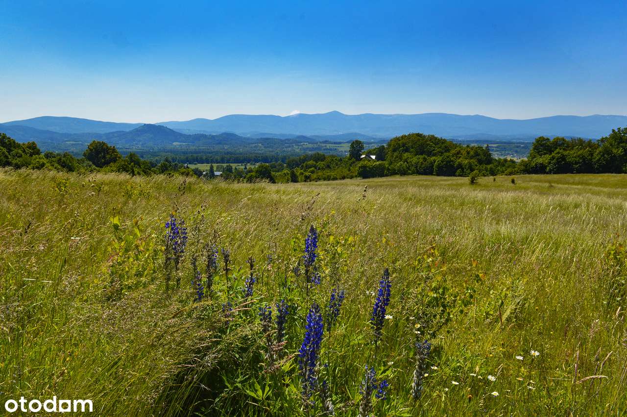 Kompleks 18 działek z widokiem na góry - Pełny obrazek: 5/8