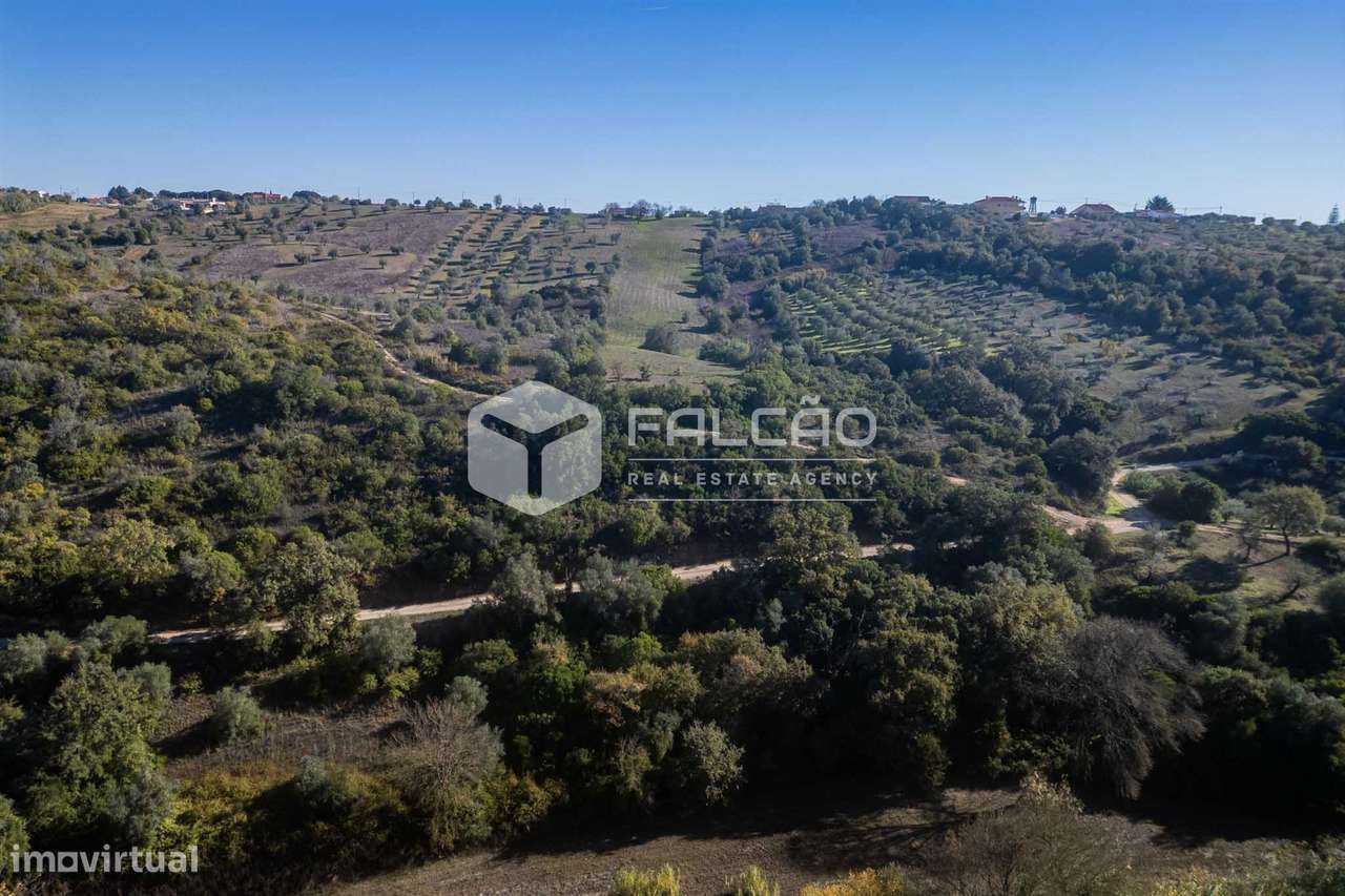 Terreno Para Construção  Venda em Moçarria,Santarém-24