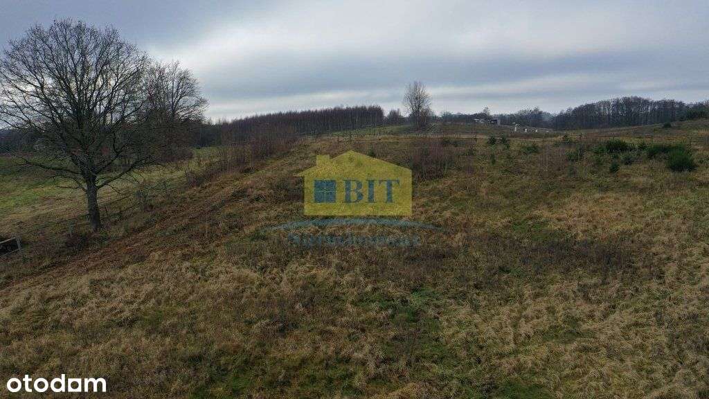 Działka 1,1041 ha nad jeziorem Ostrowiec-17