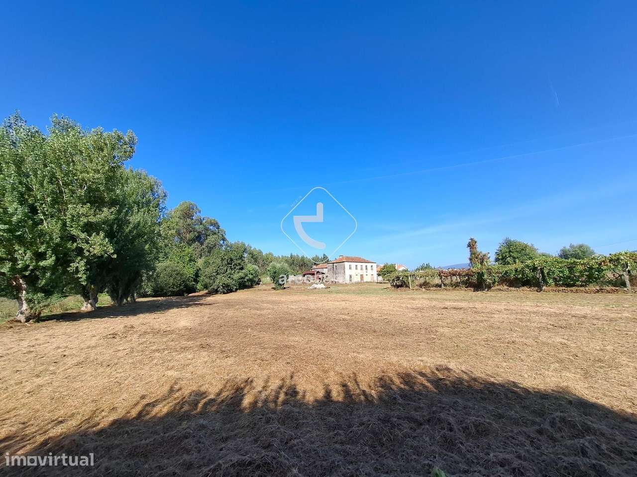 Quinta p/ restaurar com 6.200m2 - Ribeira/Ponte de Lima-48
