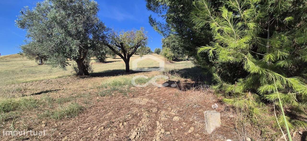 Terreno Rústico com 25.240 m² em Ferras, Gavata, Torres Novas – RAN-3