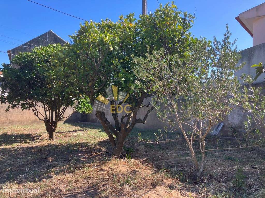 Moradia Térrea T2 + 1 Renovado | Manique de Cima ( Sintra) | Não pe...-25